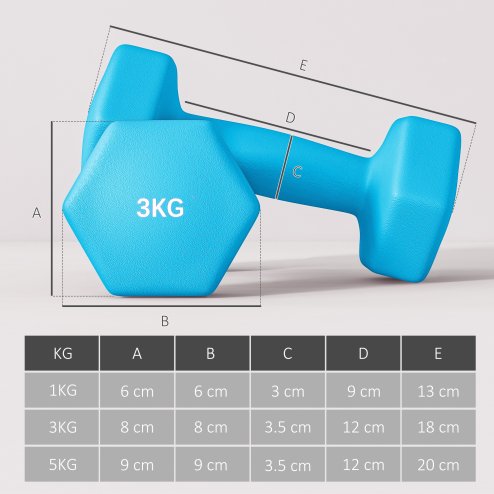 SPORTNOW Dumbbells Set with Carry Storage Rack, Set of 6 Weights for Home Gym, Kettlebell Training Weight Lifting Exercise, 2 x 1kg, 2 x 3kg, 2 x 5kg