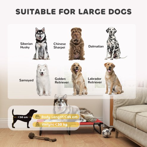PawHut Raised Dog Bed, Portable Elevated Pet Cot with Breathable Mesh for Indoor Outdoor, for Large Dogs, 107 x 61 x 20 cm, Red