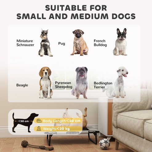 PawHut Raised Dog Bed, Portable Elevated Pet Cot with Breathable Mesh for Indoor Outdoor, for Small Medium Dogs, 75 x 51 x 18 cm, Light Grey