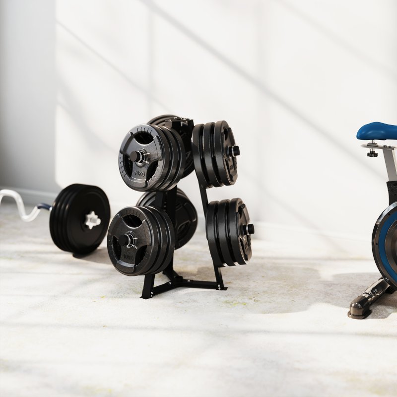 SPORTNOW Weight Rack, Weight Tree for 5cm Weight Plates and Barbell Bar with 6 Fasten Clamps for Home Gym Storage, 300kg Capacity