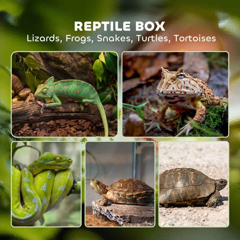PawHut Glass Reptile Terrarium, 40L Vivarium for Lizards, Frogs, Snakes, Turtles, Tortoises, with Ventilation, 30 x 30 x 45cm
