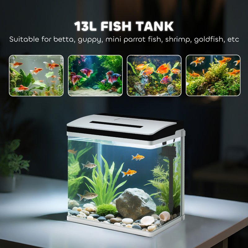 PawHut Aquarium, 13L Glass Fish Tank with Filter, LED Lighting, Water Pump, for Bettas, Guppies, Mini Parrot Fishes, Shrimp, Goldfish, 29 x 20 x 30.5cm