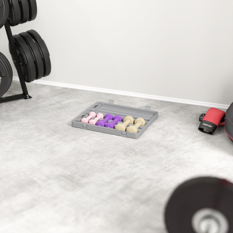 HOMCOM 6kg Dumbbell Set with Suitcase, Fitness Weights Dumbbells Set for Men and Women Home Gym, Workout, Pink, Purple, Brown