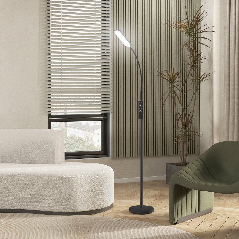 HOMCOM LED Floor Lamp, Standing Lamp with Remote & Touch Control, Stepless Dimmable Colours Temperature & Brightness, 360° Adjustable Gooseneck, 1 Hour Timer, Memory Function for Living Room, Black