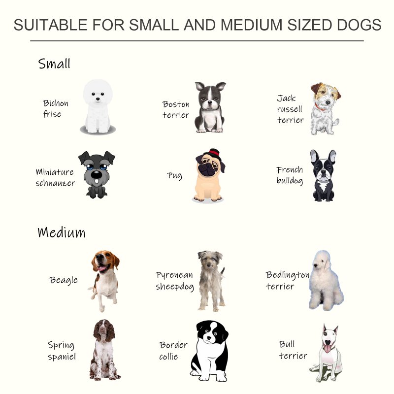 PawHut Raised Dog Bowl Feeding Bowls with Stand for Medium Dogs Elevated Pet Bowls Water Food Feeder 58L x 31W x 25H cm - White