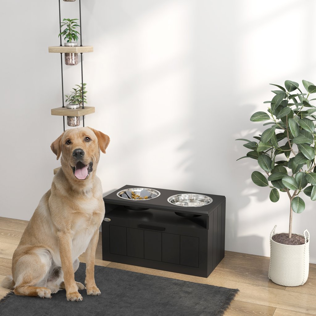 Dog Raised Bowls Image