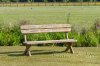 Laguna Solidwood Outdoor Bench