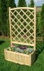 Flower Planter with Climbing Trellis
