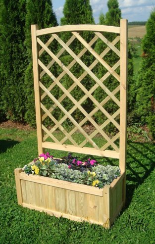 Flower Planter with Climbing Trellis