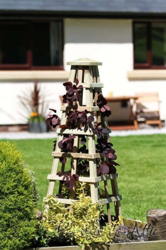 Garden Obelisk 120cm height