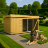 10X4 Dog Kennel (4ft Height) Flat Packed