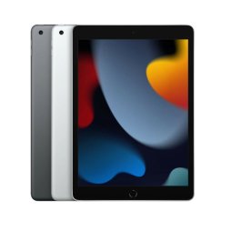  Apple iPad 9th Gen 10.2