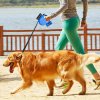 Living and Home 5m Retractable Dog Leash with Non-Slip Handle and LED Torch