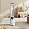 2-in-1 Air Cool & Purify Bladeless Fan, White