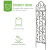 Living and Home 2Pcs Garden Trellis for Climbing Plants Black, 42cm W x 155.5cm D