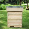 Living and Home Wooden Beehive Starter Kit