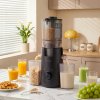 Living and Home 300W Cold Press Juicer Slow Masticating Machine