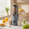 Living and Home 300W Cold Press Juicer Slow Masticating Machine