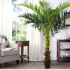 Living and Home 180CM Outdoor Large Artificial Areca Palm Tree