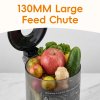 Living and Home 200W Cold Press Juicer Slow Masticating Machine