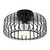 Living and Home Black Metal Wire Cage Flush Mount Ceiling Light, E27 Single Lamp Holder Industrial Ceiling Lamp with 3 Color LED Bulb, Wall Controlled Lighting Fixture