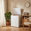 99L Freestanding Chest Freezer