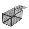 Living and Home 2 Pack Metal Humane Mouse Trap Cage Rat Catcher, 28cm (W) x 15cm (D) x 15cm (H)