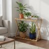 2-Tier Bamboo Storage Shelf