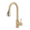 Pull-Out Sensor Kitchen Faucet