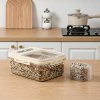 Transparent Food Storage Container with Lid
