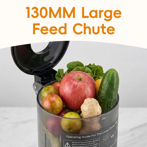 Living and Home 200W Cold Press Juicer Slow Masticating Machine