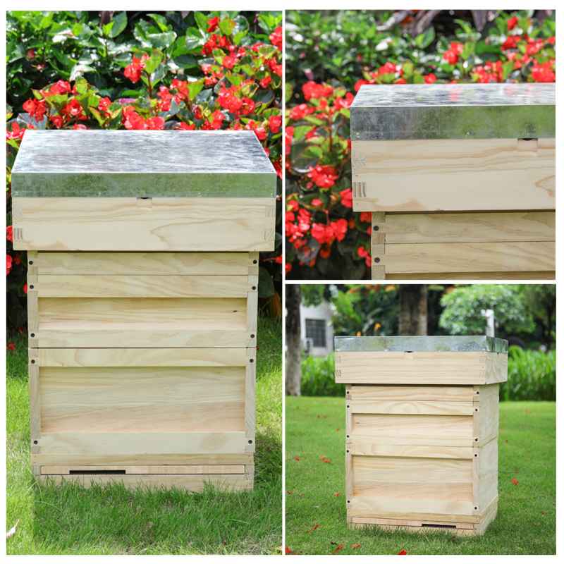 Living and Home Wooden Beehive Starter Kit