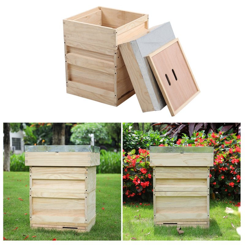 Living and Home Wooden Beehive Starter Kit