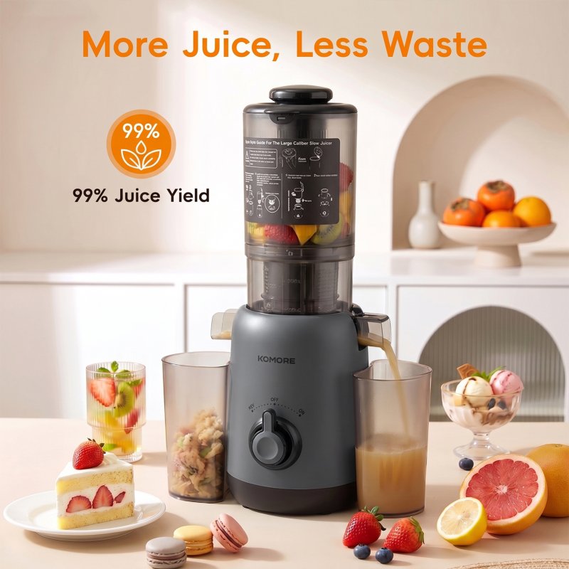 Living and Home 200W Cold Press Juicer Slow Masticating Machine