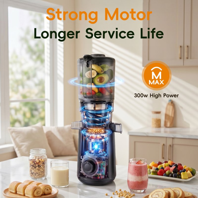 Living and Home 300W Cold Press Juicer Slow Masticating Machine
