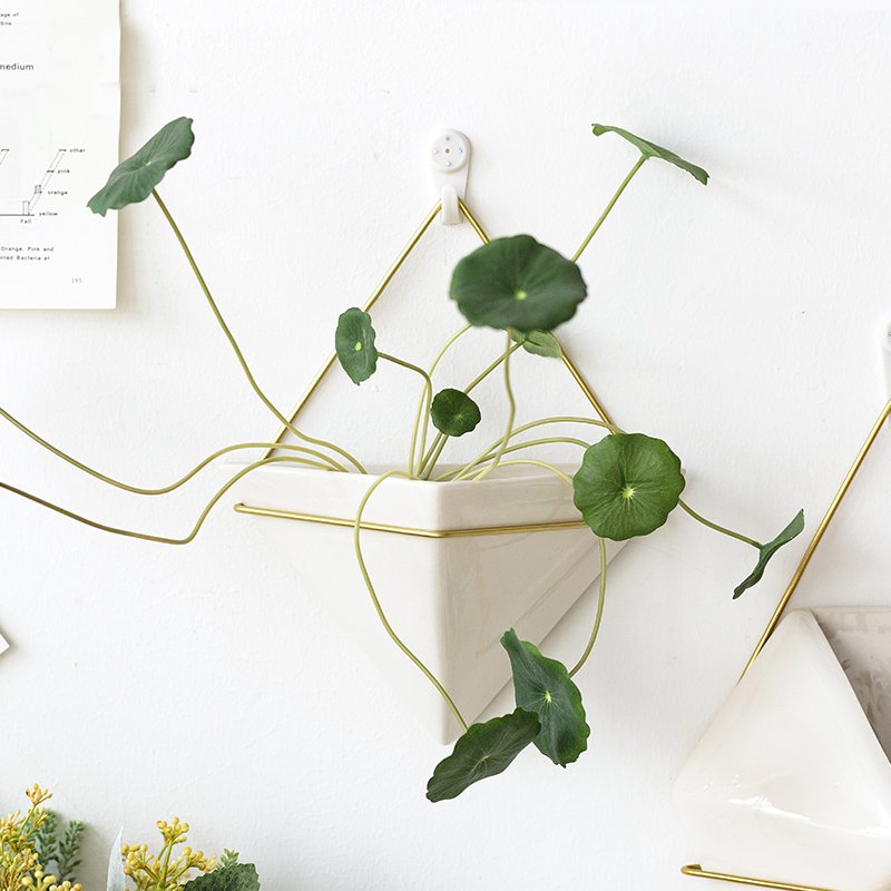 1-Piece Wall Hanging Geometric Decorative Planter for Succulents