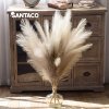 Santaco Pampas Grass Artificial 3Pcs 116cm Handcrafted Faux Silk Vase Brown
