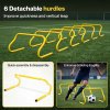 Centra Football Training Equipment Pro Agility Kit Speed Ladder Cones Hurdle