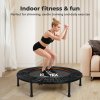 Centra 40 Inch Mini Trampoline Bounce Round Exercise Home Gym Fitness Rebounder