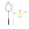 Centra Badminton Racket Set 11PCS 4 Players Aluminum Outdoor Game with Bag