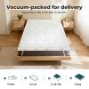 Lavio Mattress Topper Memory Foam Double Dual Layer Pressure Relief Anti Slip