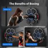 Centra Smart Punching Boxing with Boxing Gloves Black