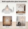 Emitto Ceiling Light Shade Pendant Glass Lamp Bistro Adjustable Clear Color