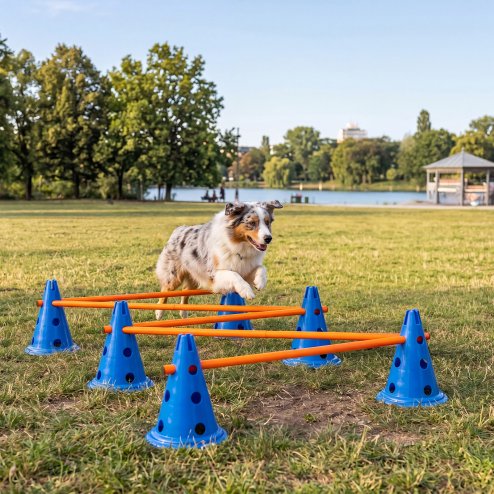 Skylos Dog Agility Training Set Hurdle Cone Kit Height Adjustable Storage Bag