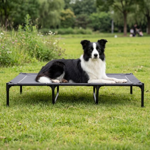 Skylos Elevated Dog Bed Large Mesh Raised Pet Cot Waterproof Indoor Outdoor