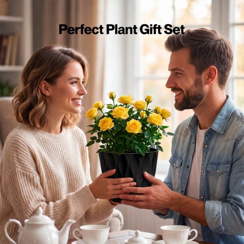 TOQUE Plant Pots,5Pc 20cm Plant Pots Indoor,Drainage,PP Plastic,Black