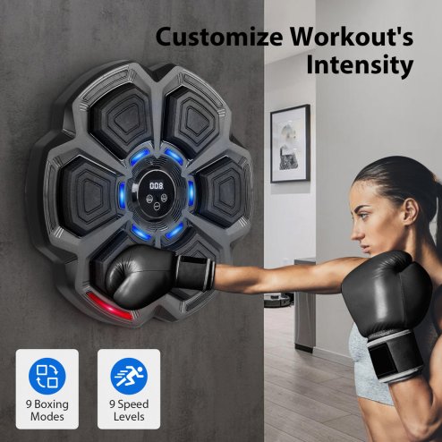 Centra Smart Punching Boxing with Boxing Gloves Black