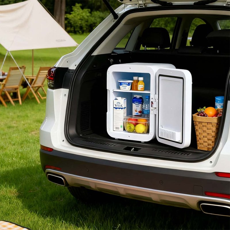 Spector 5L Mini Fridge with LED Light Mirror