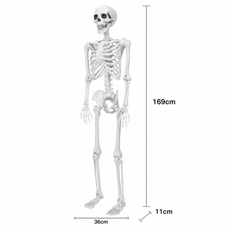 Yezi Halloween Skeleton Life Size 185cm Posable Joints Haunted House Patio White