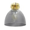 Ceiling Lamp Chandelier TOOLIGHT APP1302-1C Gold E27